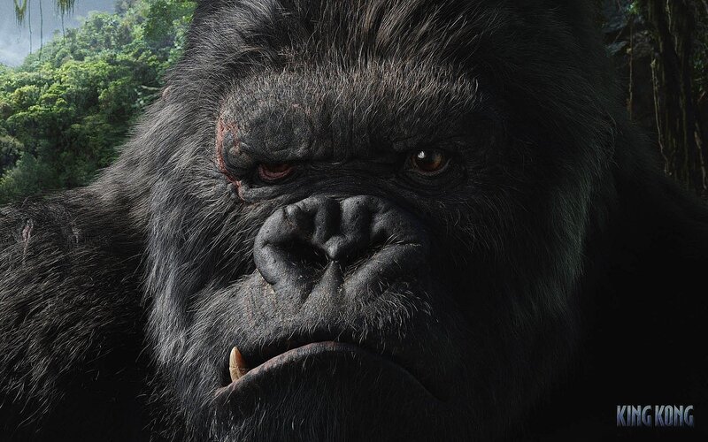 Close-up of King Kong — Black