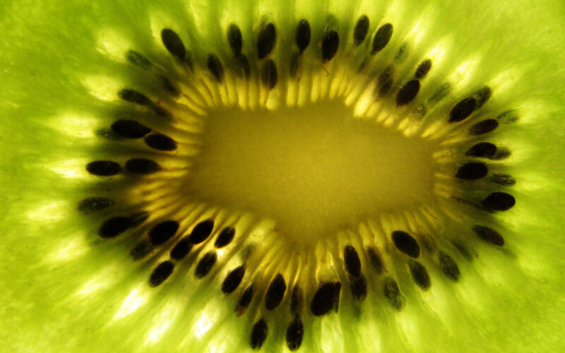 close-up of kiwi fruit