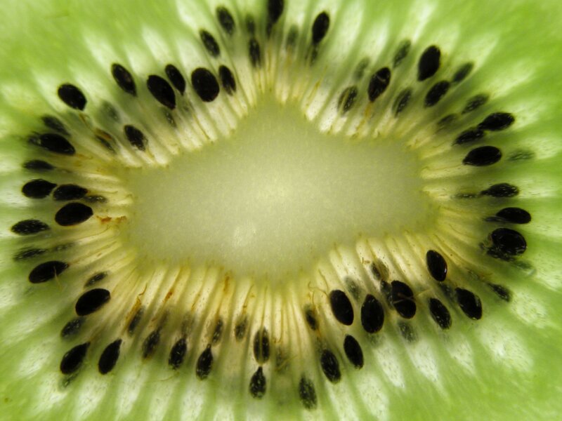 close-up of kiwi fruit