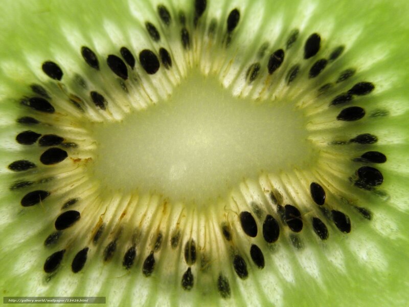 close-up of kiwi fruit