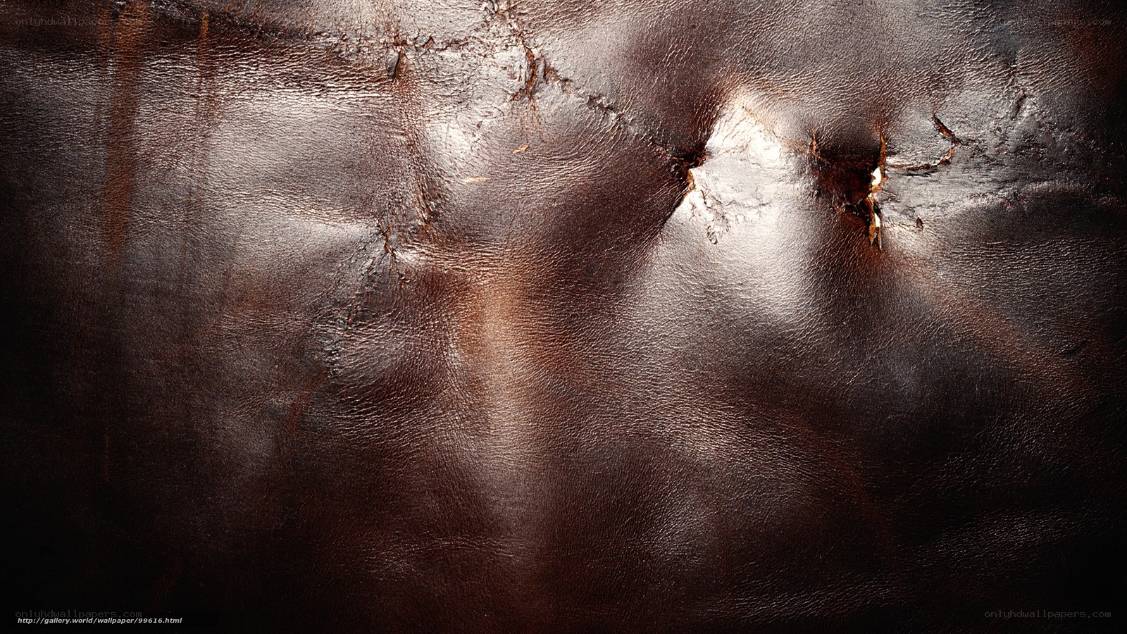 close-up of leather texture