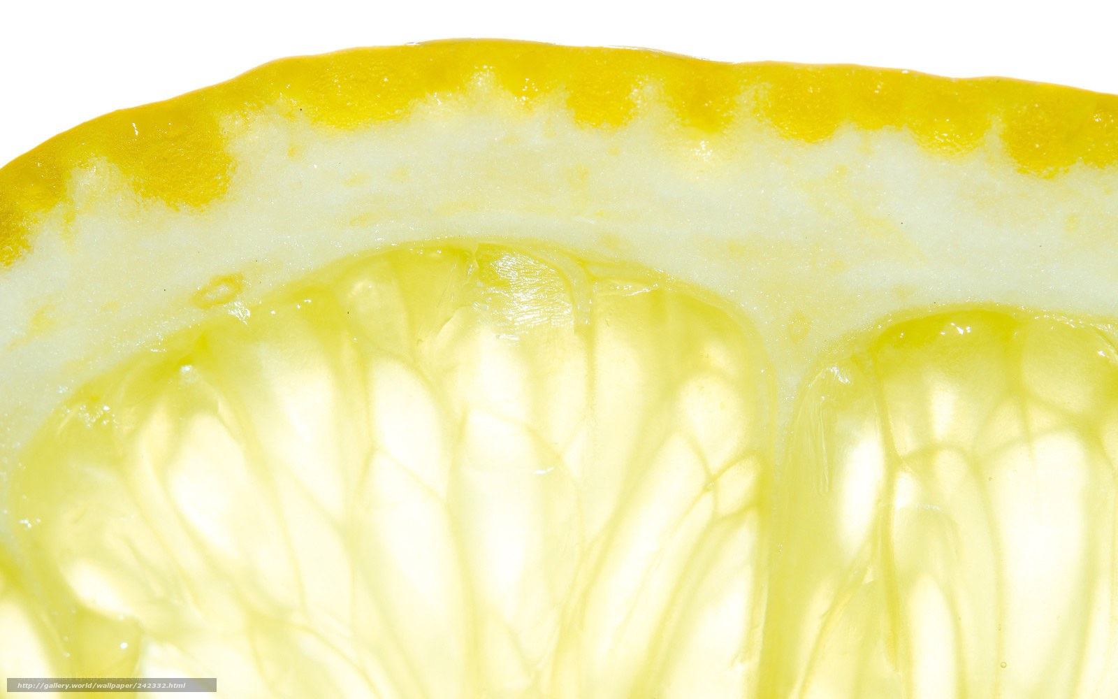 close-up of lemon slice