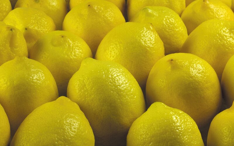 Close-up of lemons