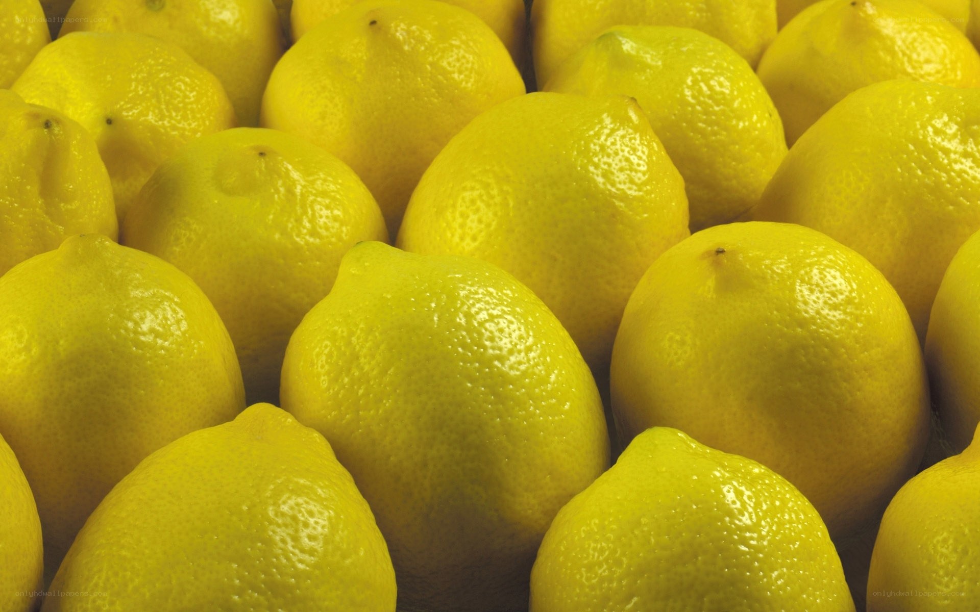 Close-up of lemons
