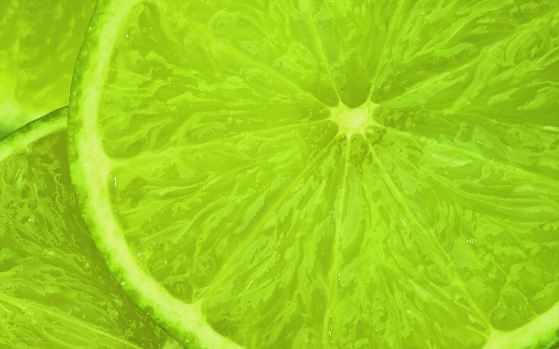 Close-up of lime slices