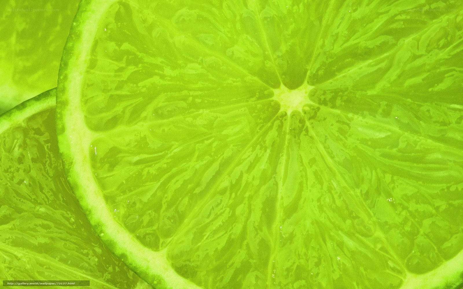 Close-up of lime slices