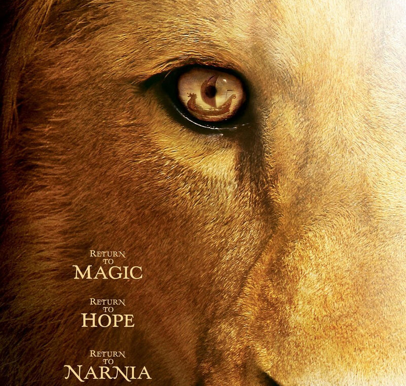 Close-up of Lion's Eye