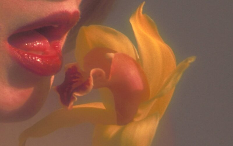 close-up of lips and flower
