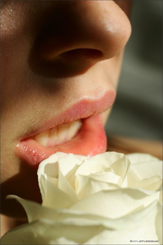 close-up of lips and white rose