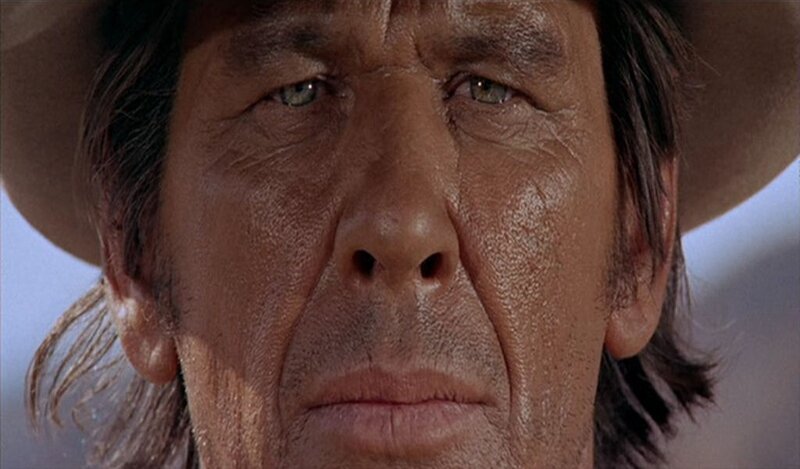Close-up of Man's Face — Brown, Serious