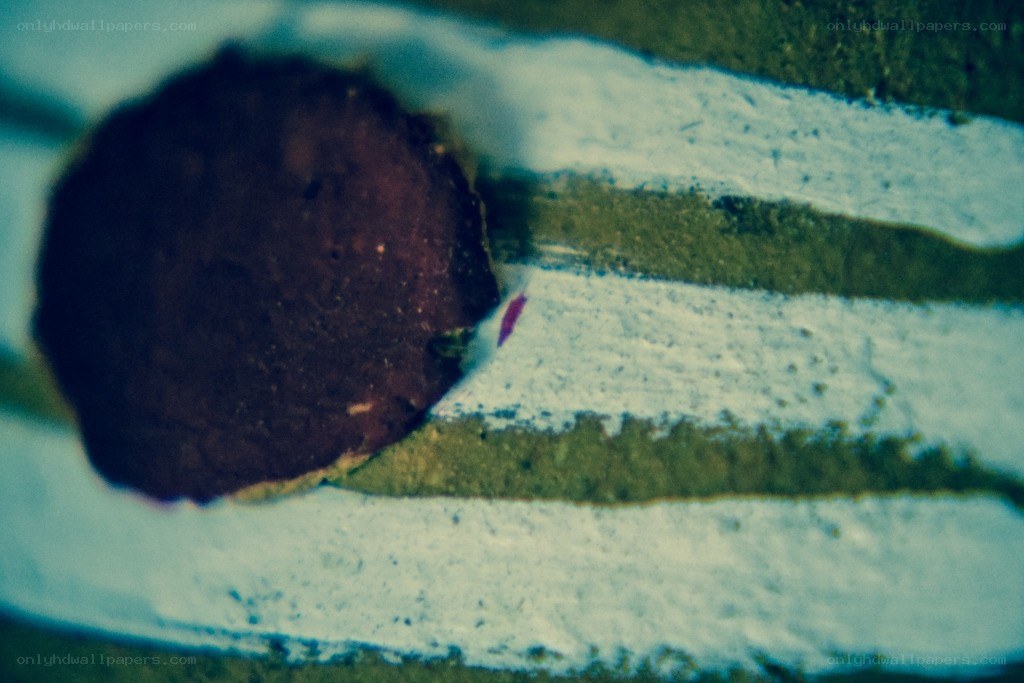close-up of match head