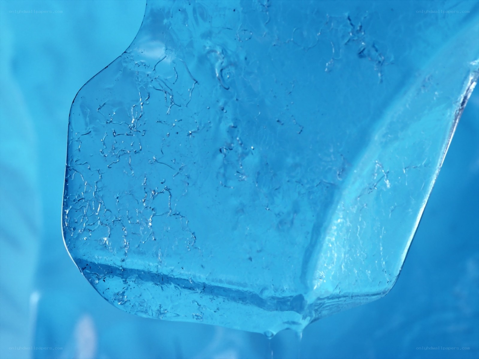 Close-up of melting ice