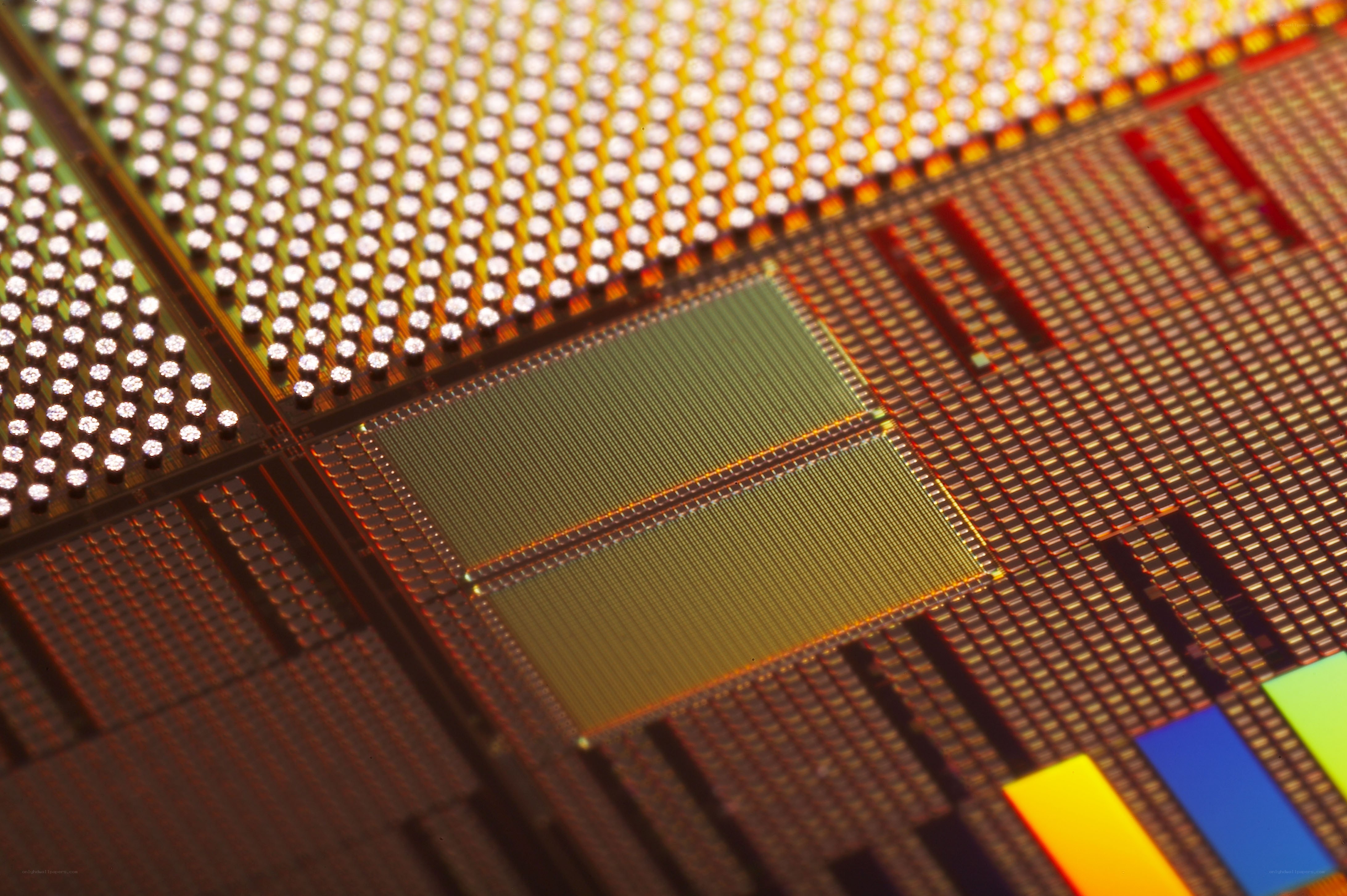 Close-up of microprocessor chips