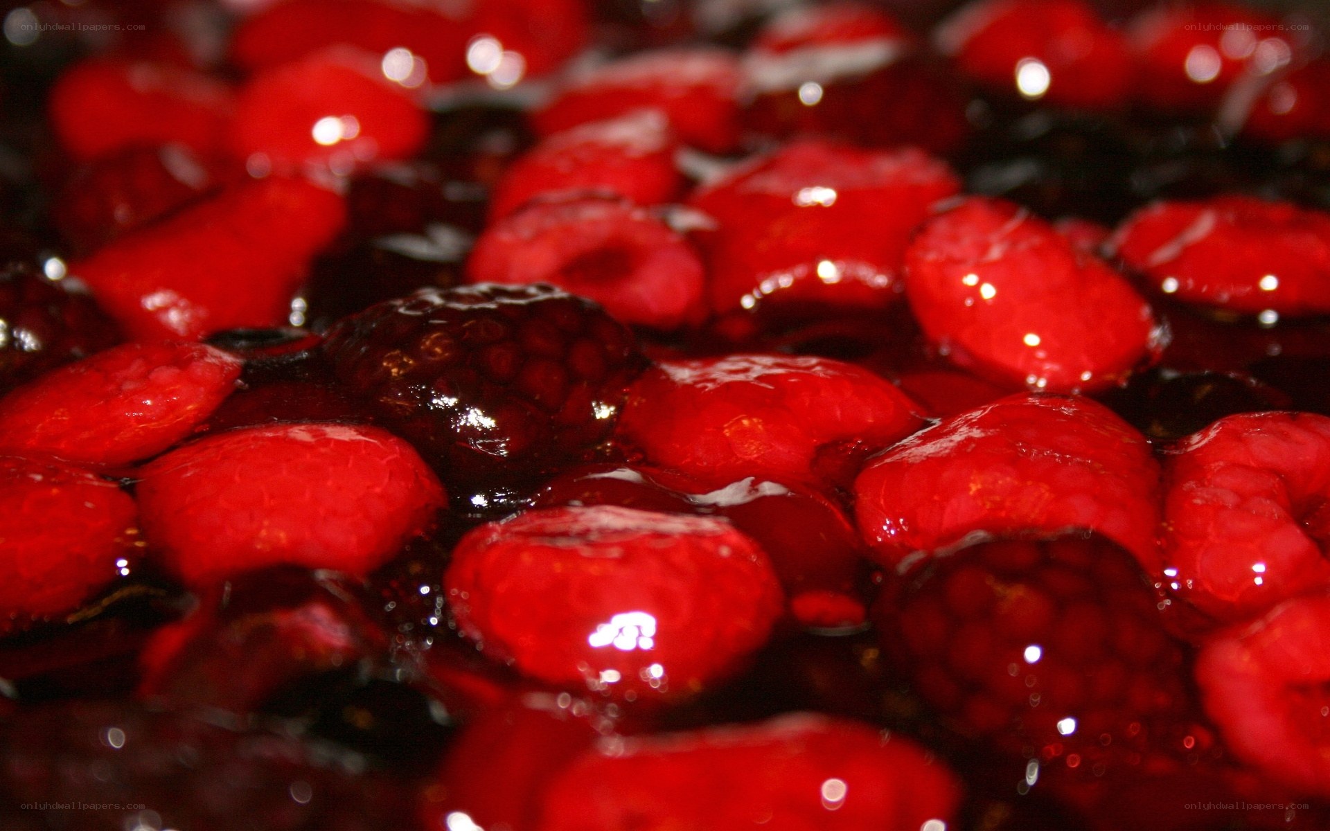 close-up of mixed berries