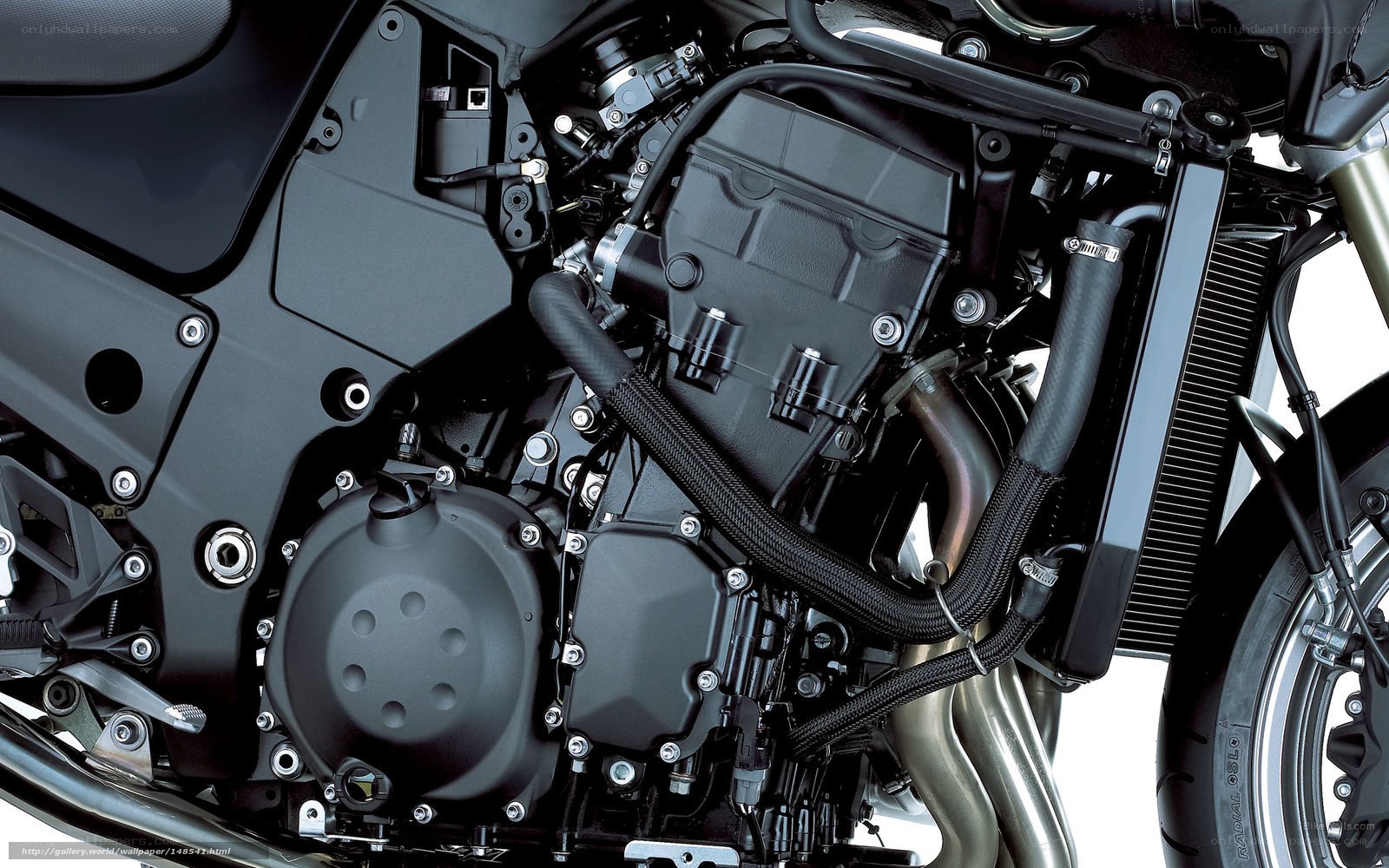 close-up of motorcycle engine