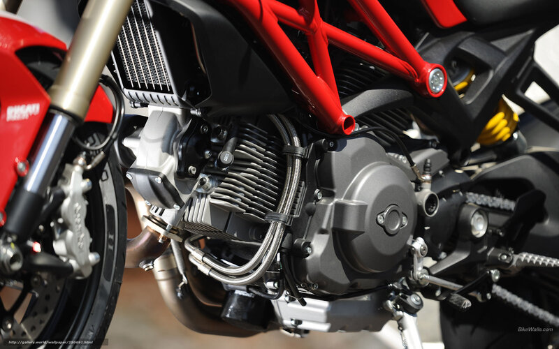 Close-up of Motorcycle Engine — Red, Mechanical, Afternoon