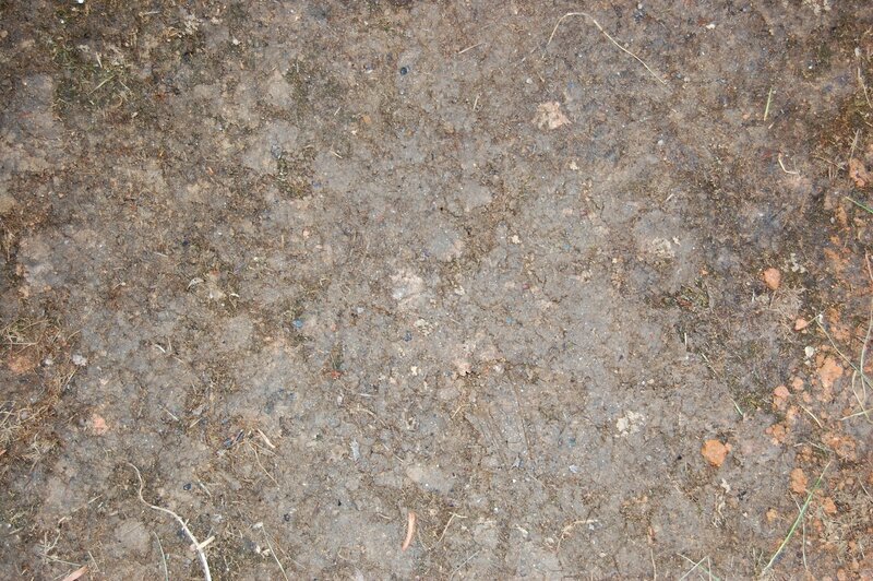close-up of muddy ground