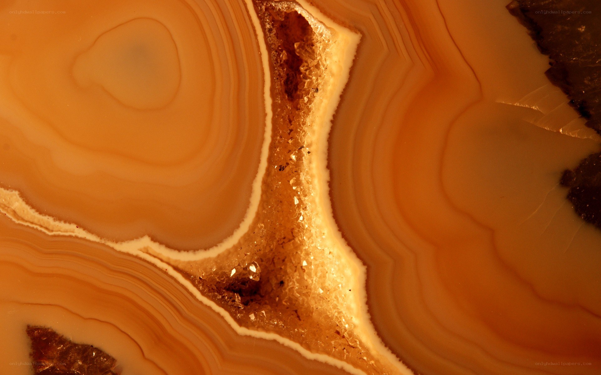 Close-up of orange agate geode