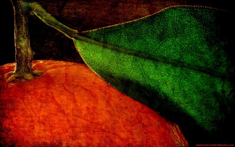 close-up of orange and leaf