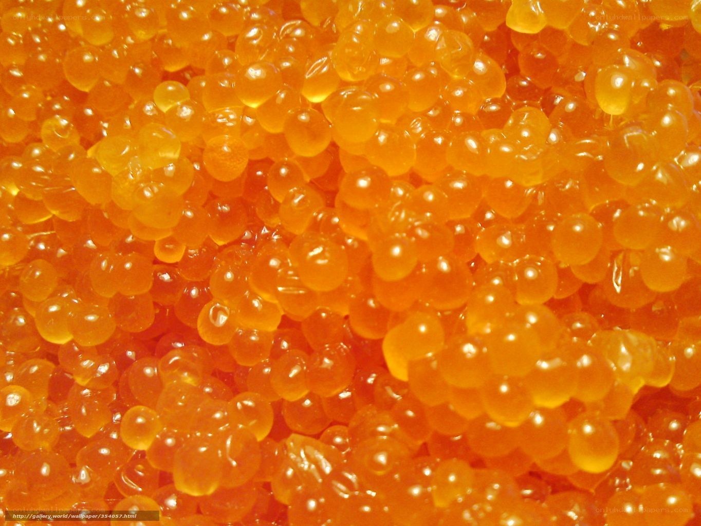 close-up of orange fish roe