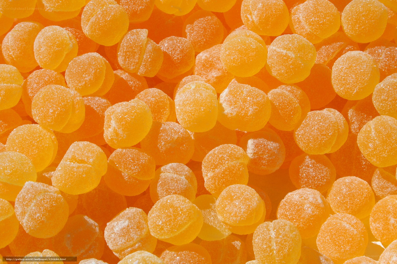 Close-up of orange gummy candies