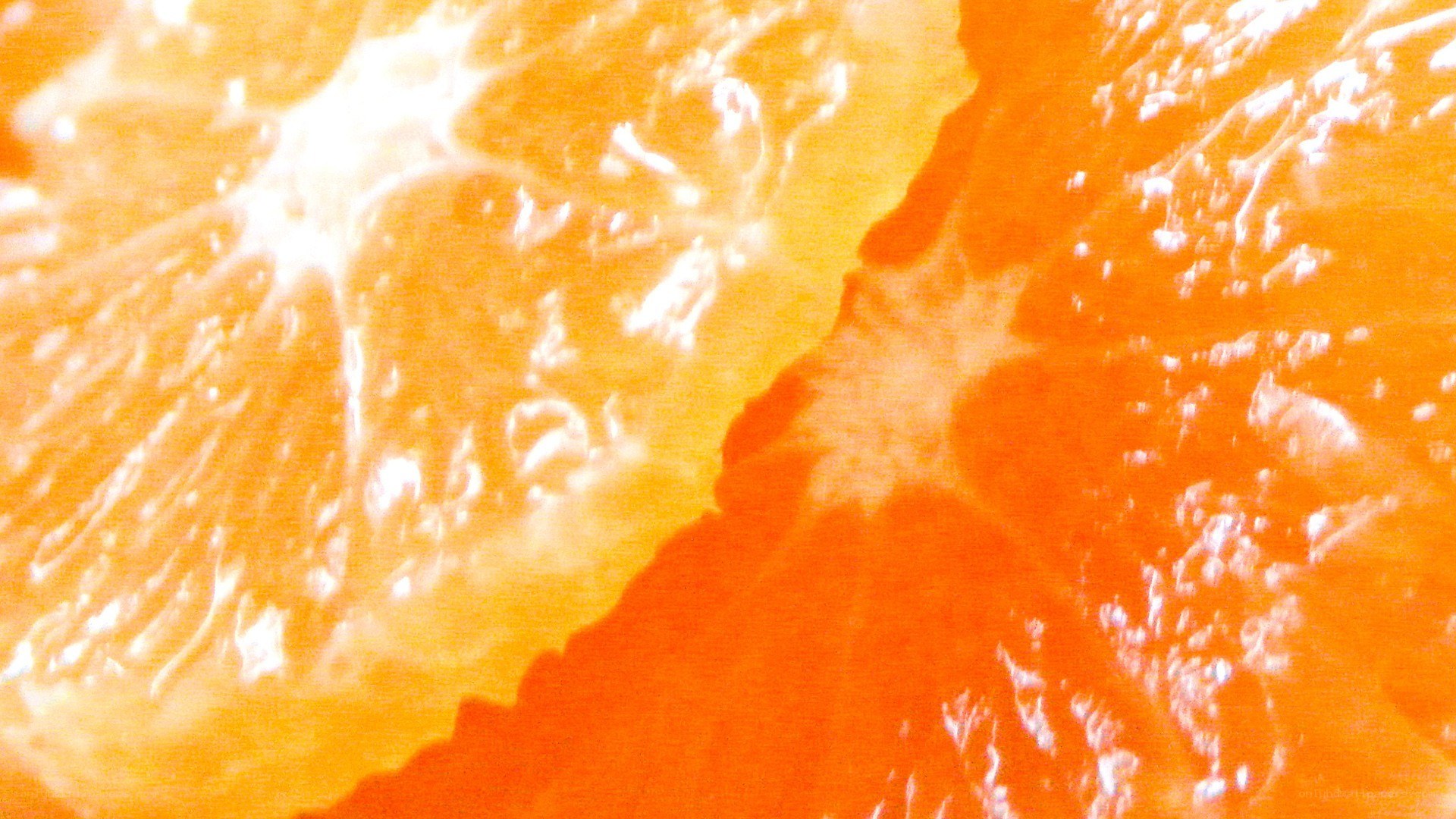 close-up of orange segments