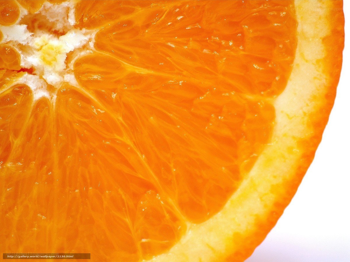 close-up of orange slice