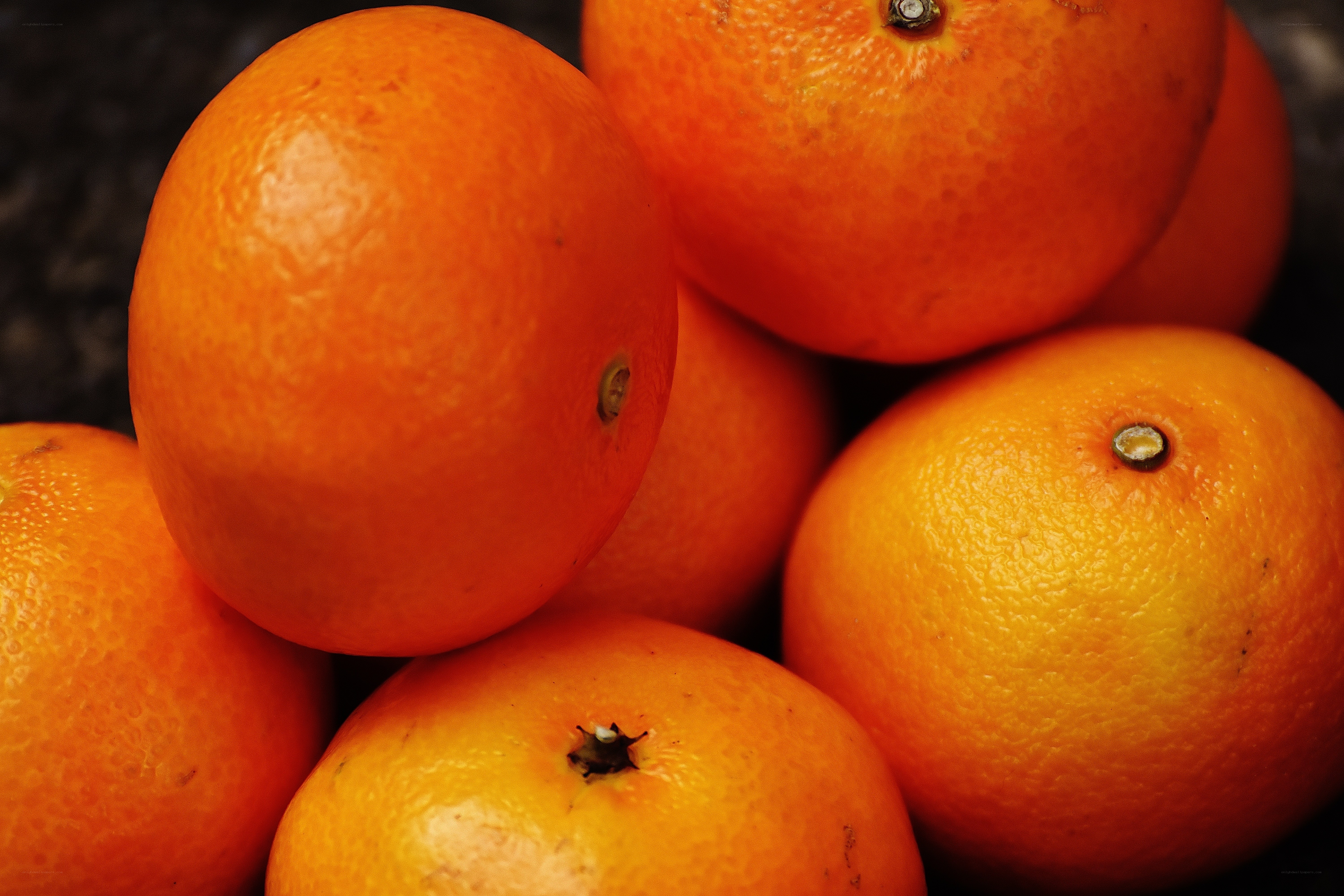 close-up of oranges