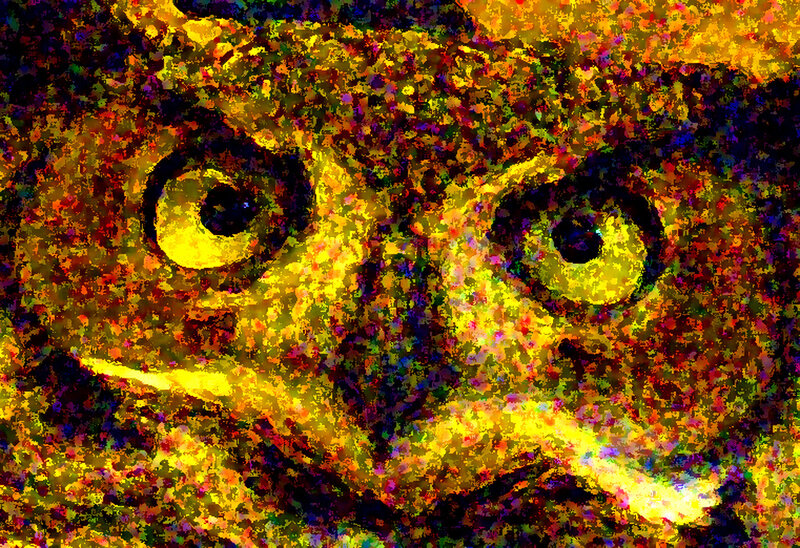 Close-up of Owl Face — Yellow