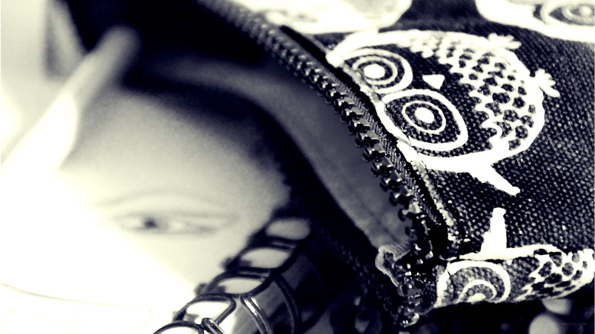 close-up of owl-patterned pouch