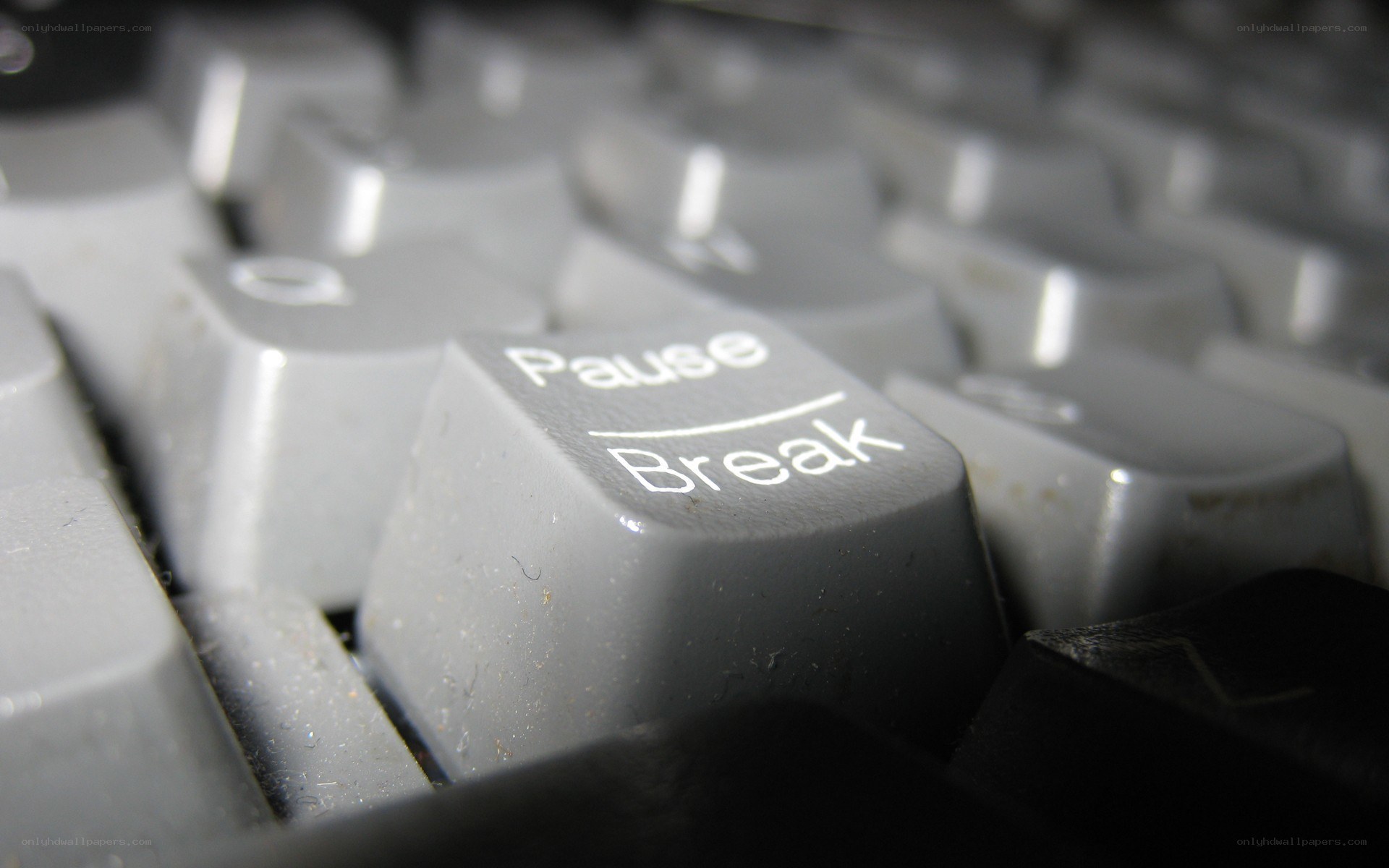 close-up of pause break key