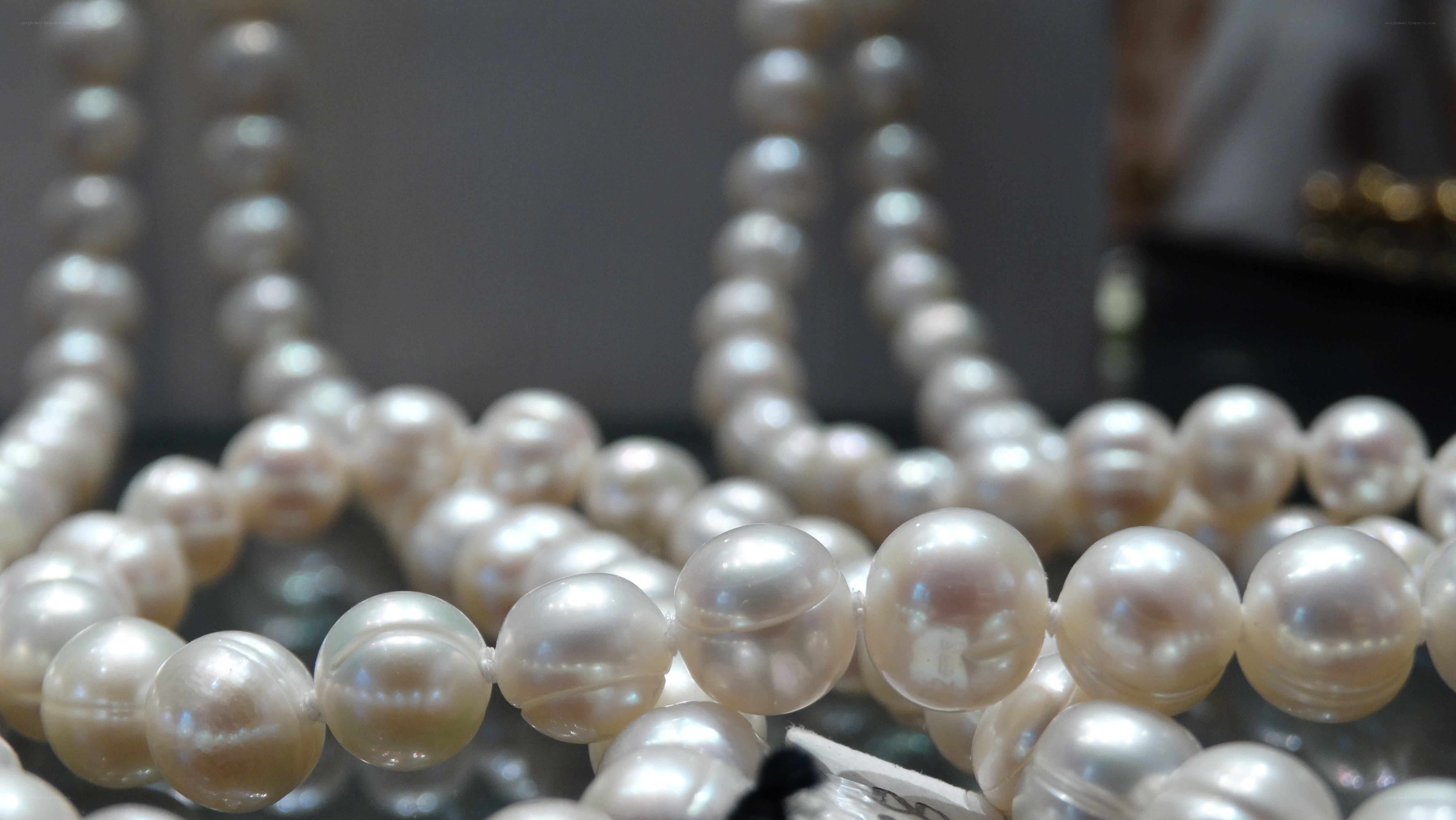 Close-up of pearl necklaces