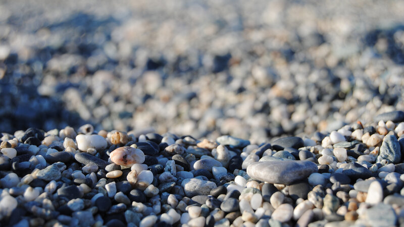 Close-up of pebbles on a beach