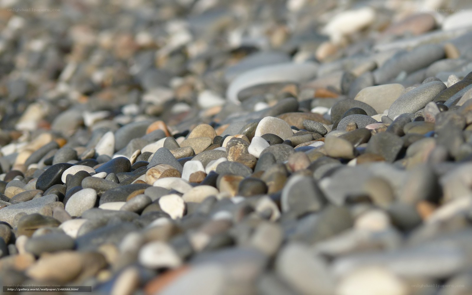 Close-up of pebbles on a beach