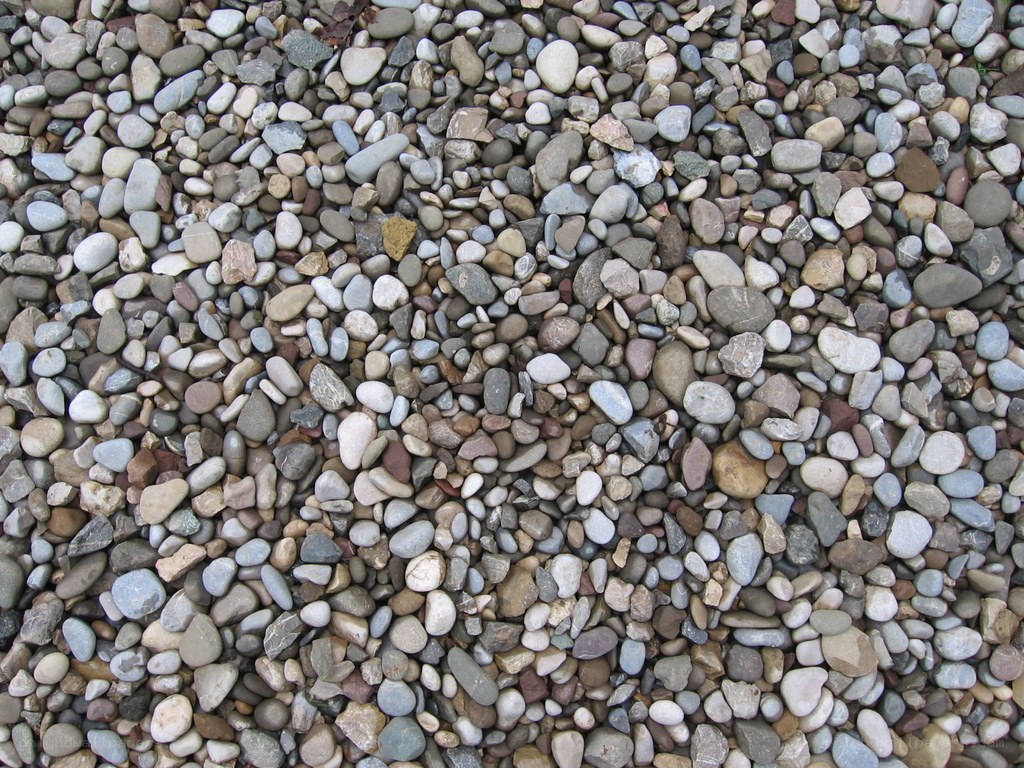 close-up of pebbles on ground