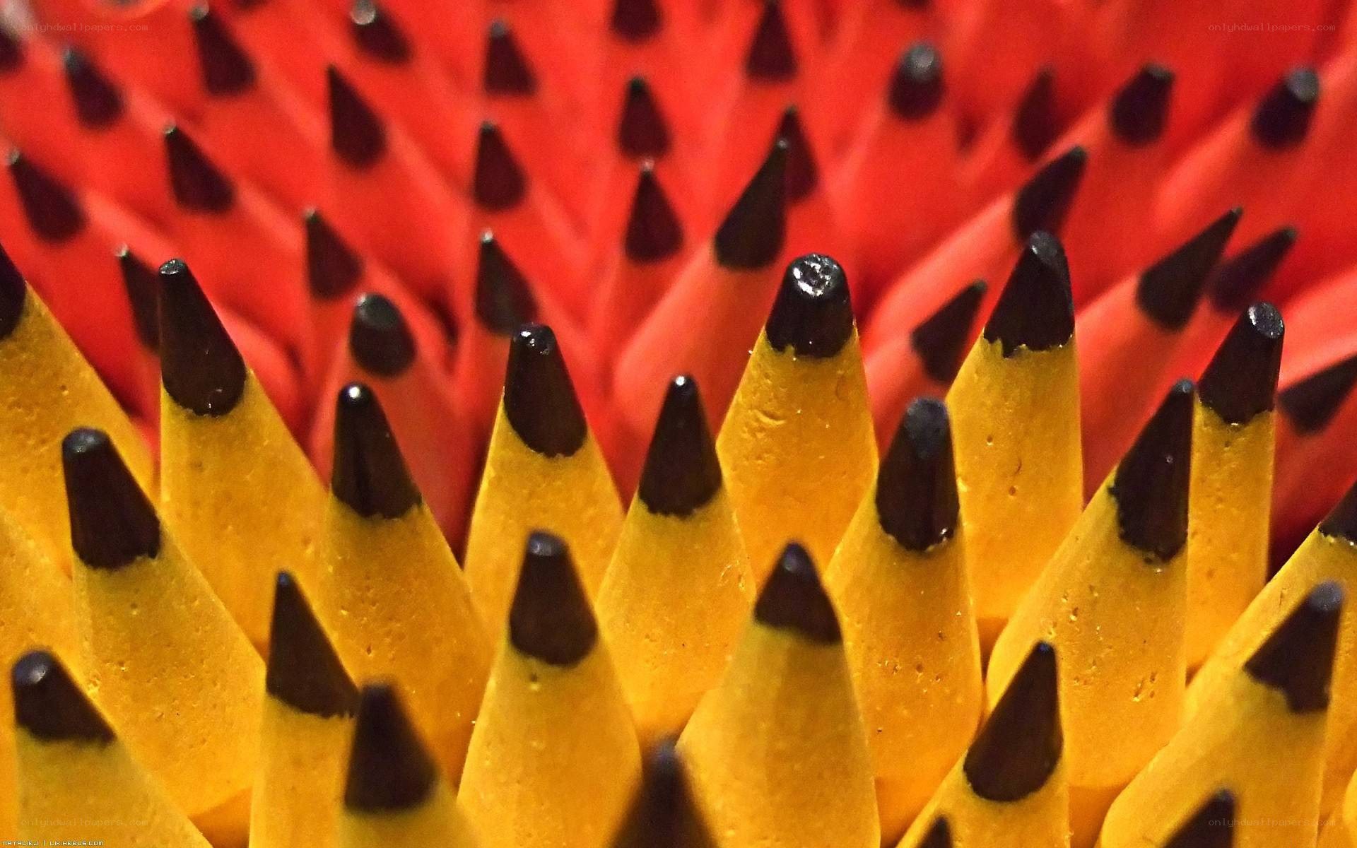 Close-up of pencils in a pattern