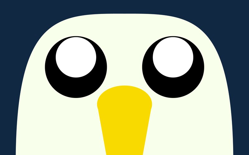 Close-up of Penguin Face