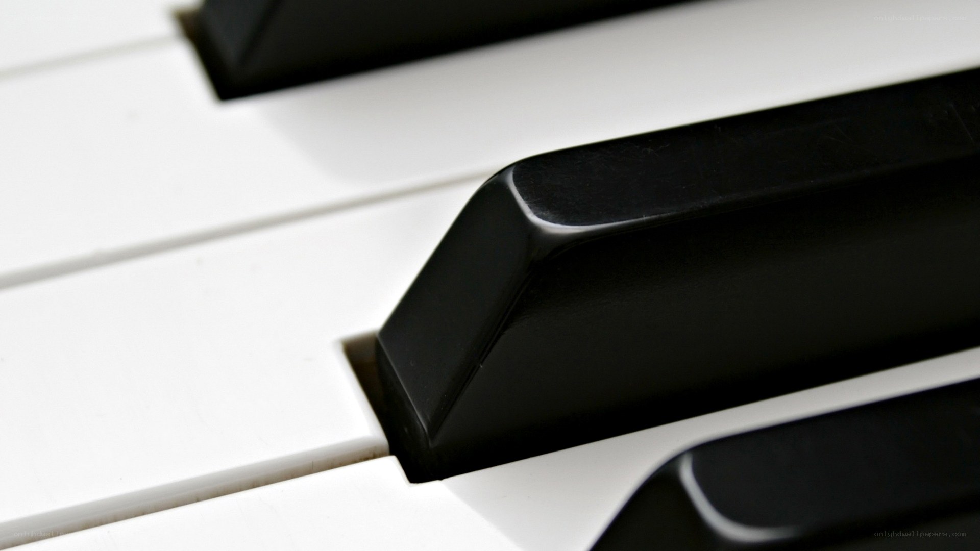 close-up of piano keys