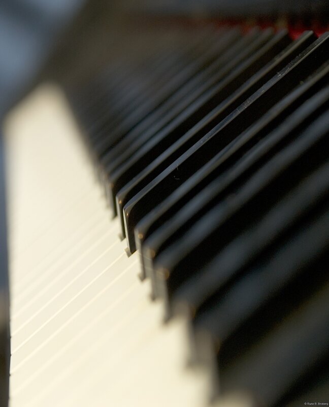 Close-up of piano keys