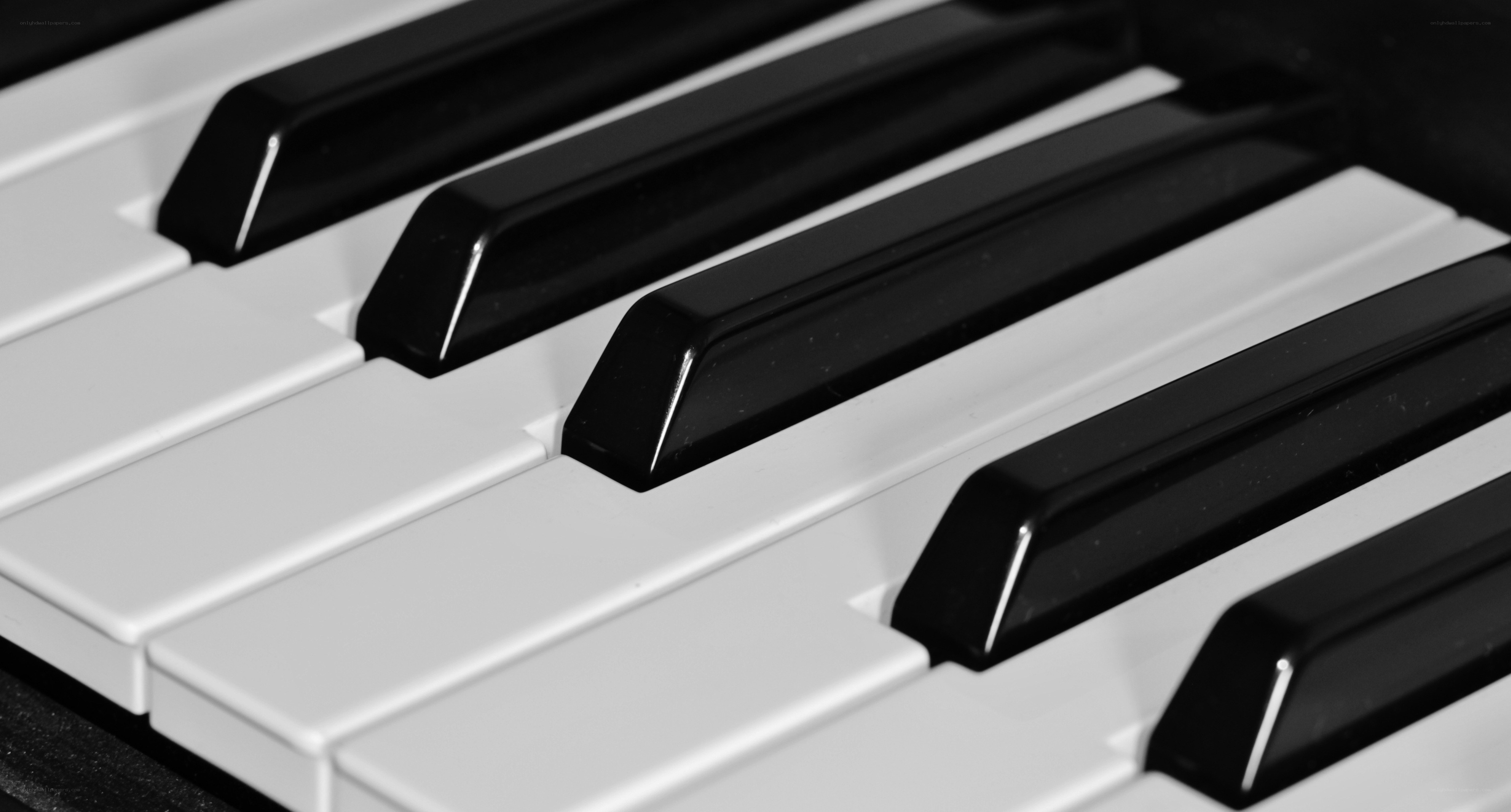 close-up of piano keys