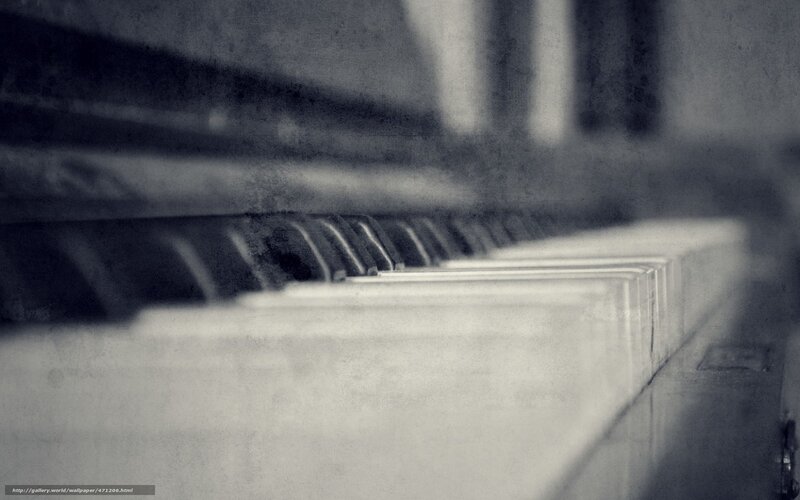 close-up of piano keys
