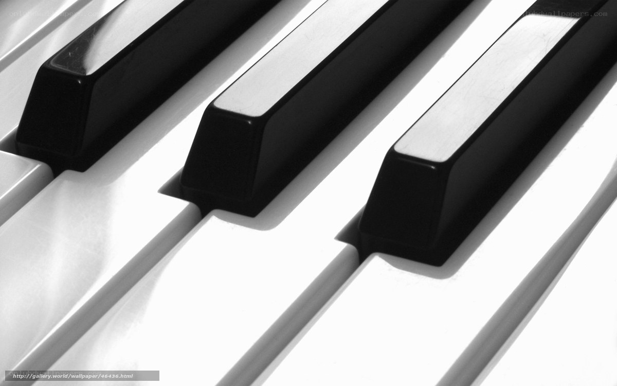 close-up of piano keys