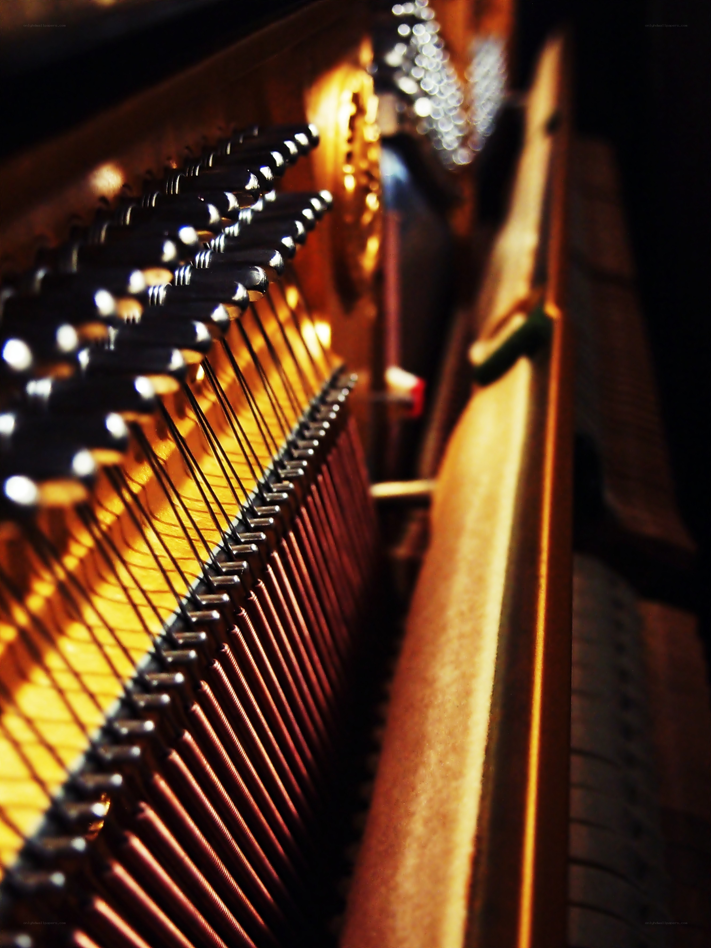 Close-up of piano strings