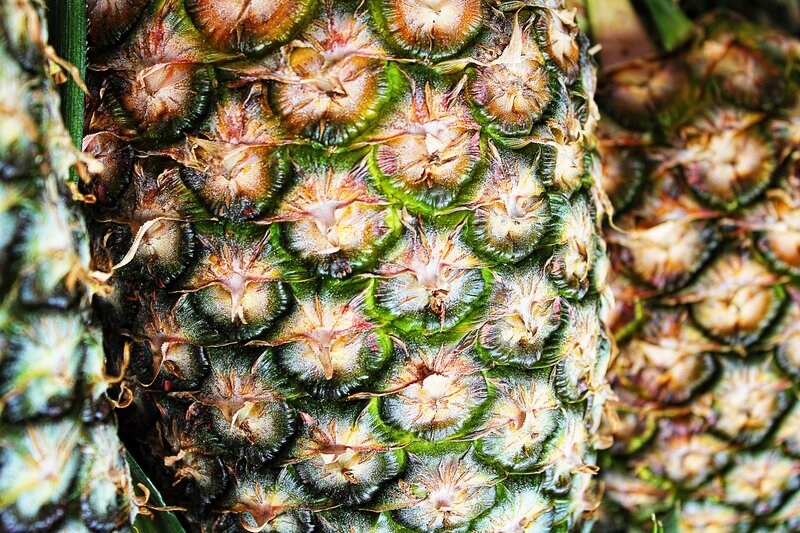 Close-up of Pineapple Skin