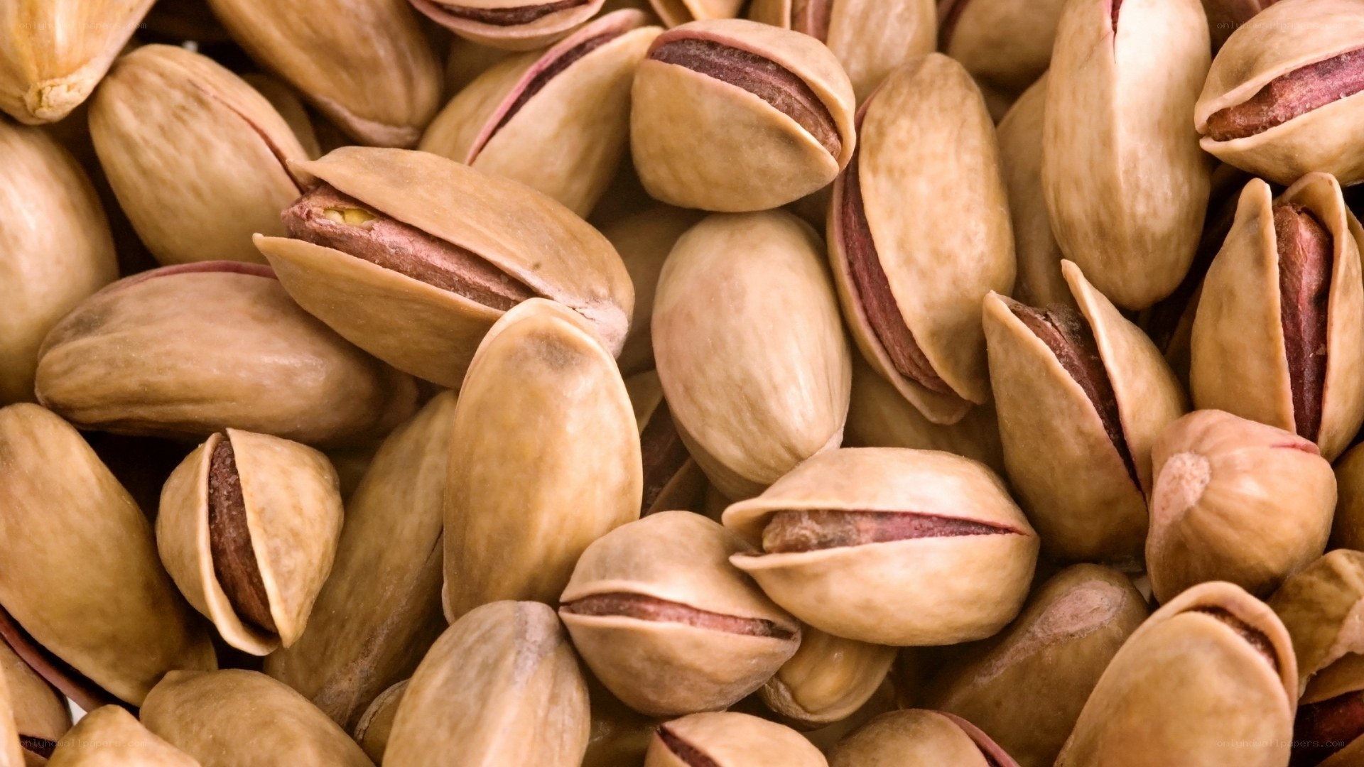 close-up of pistachio nuts