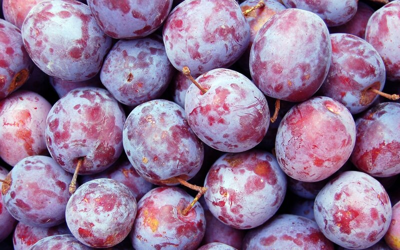 Close-up of plums