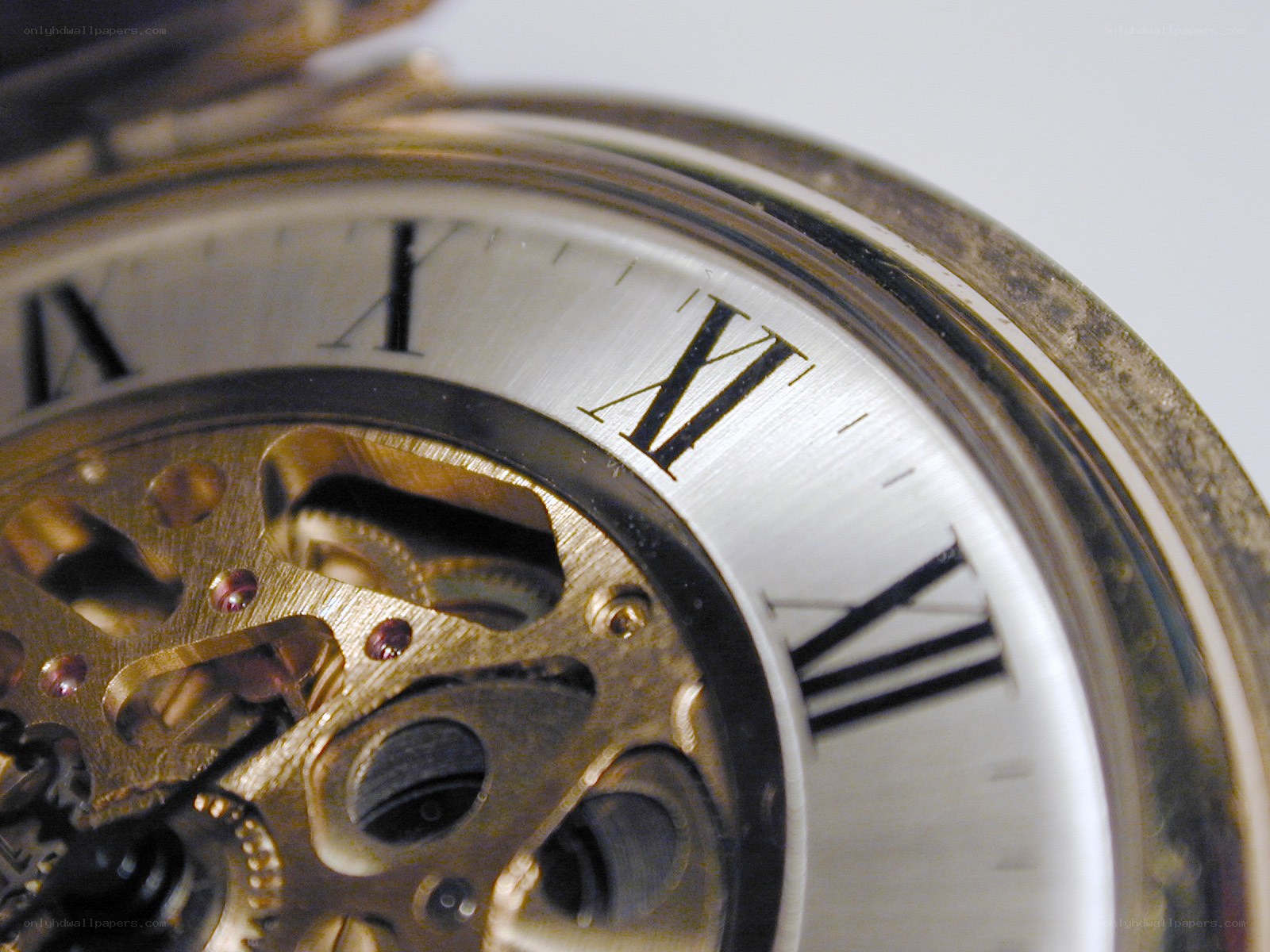 close-up of pocket watch