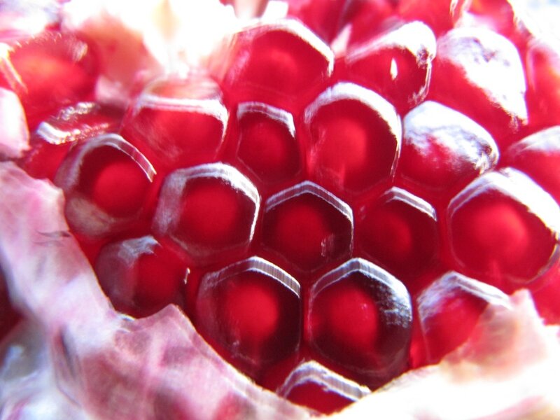 Close-up of pomegranate seeds