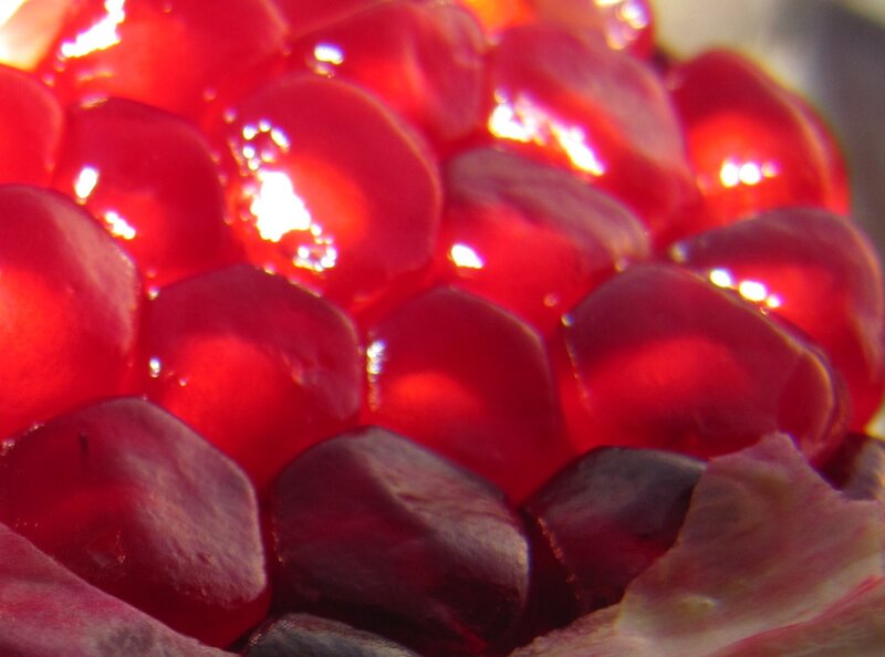 Close-up of pomegranate seeds