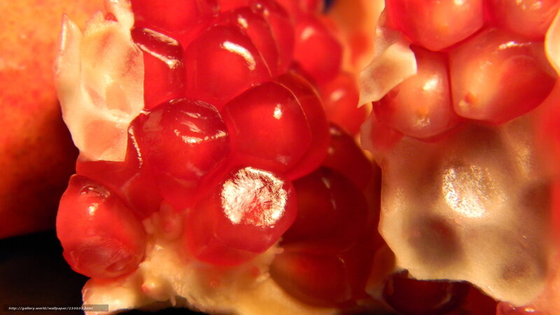 Close-up of pomegranate seeds